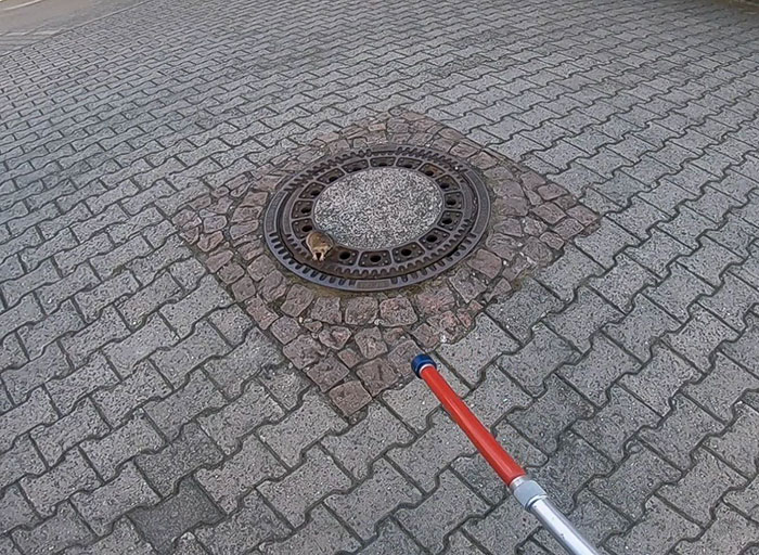 People Are Laughing At A Fat Rat That Got Stuck In Sewer Grate And Needed Fire Brigade To Save Her People Are Laughing At A Fat Rat That Got Stuck In Sewer Grate And Needed Fire Brigade To Save Her