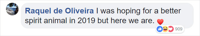 People Are Laughing At A Fat Rat That Got Stuck In Sewer Grate And Needed Fire Brigade To Save Her People Are Laughing At A Fat Rat That Got Stuck In Sewer Grate And Needed Fire Brigade To Save Her