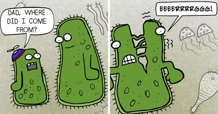 50 Comics About Science From A Non-Scientist