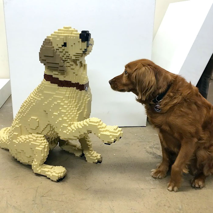My Real Dog Met My LEGO Dog