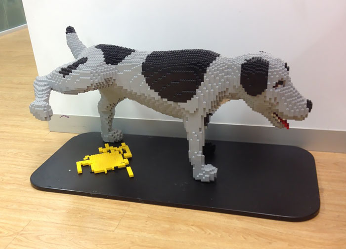 In The Waiting Room Of The LEGO Office In Sydney