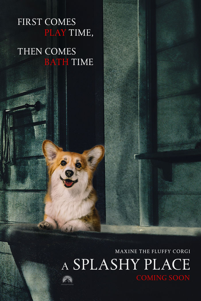 Corgi Gets Photoshopped Into Popular Movie Posters (13 Pics)