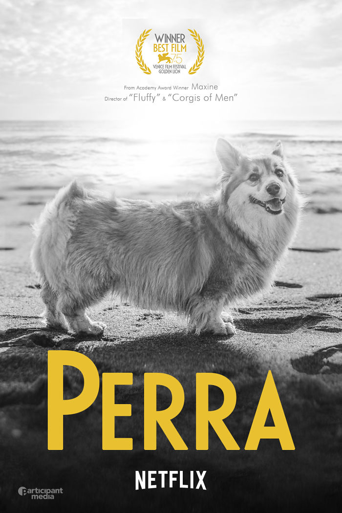 Corgi Gets Photoshopped Into Popular Movie Posters (13 Pics)