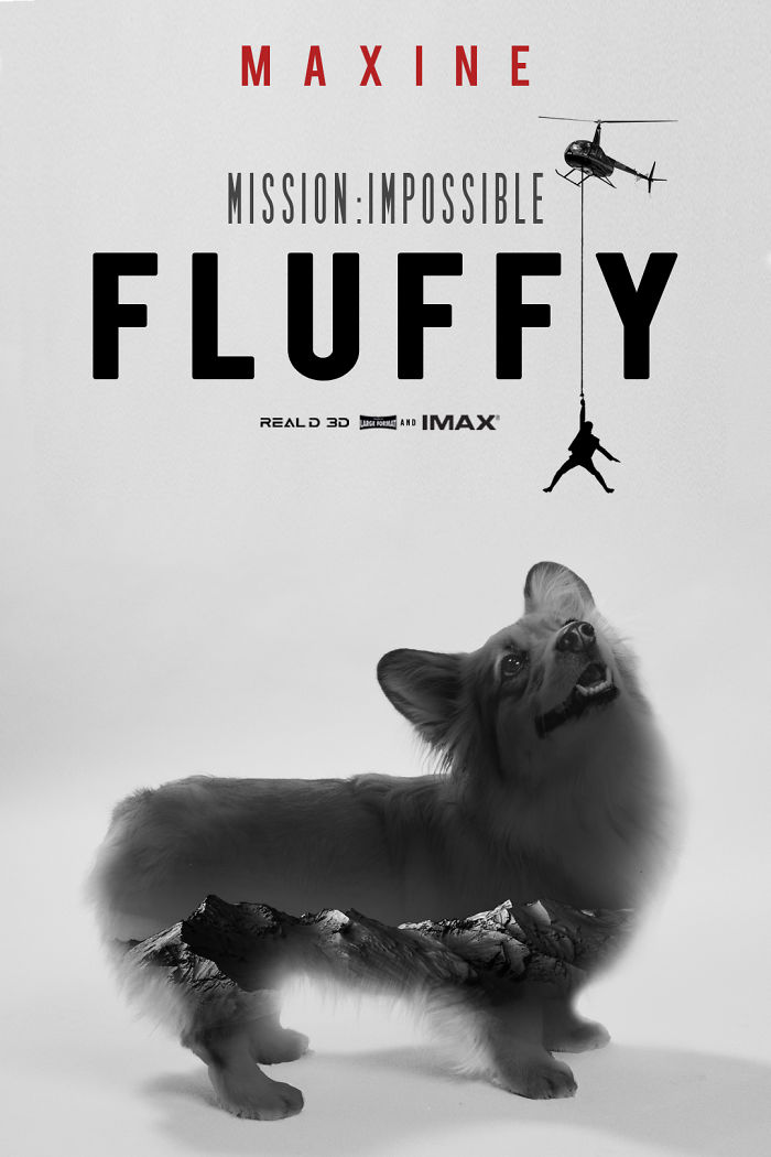 Corgi Gets Photoshopped Into Popular Movie Posters (13 Pics)