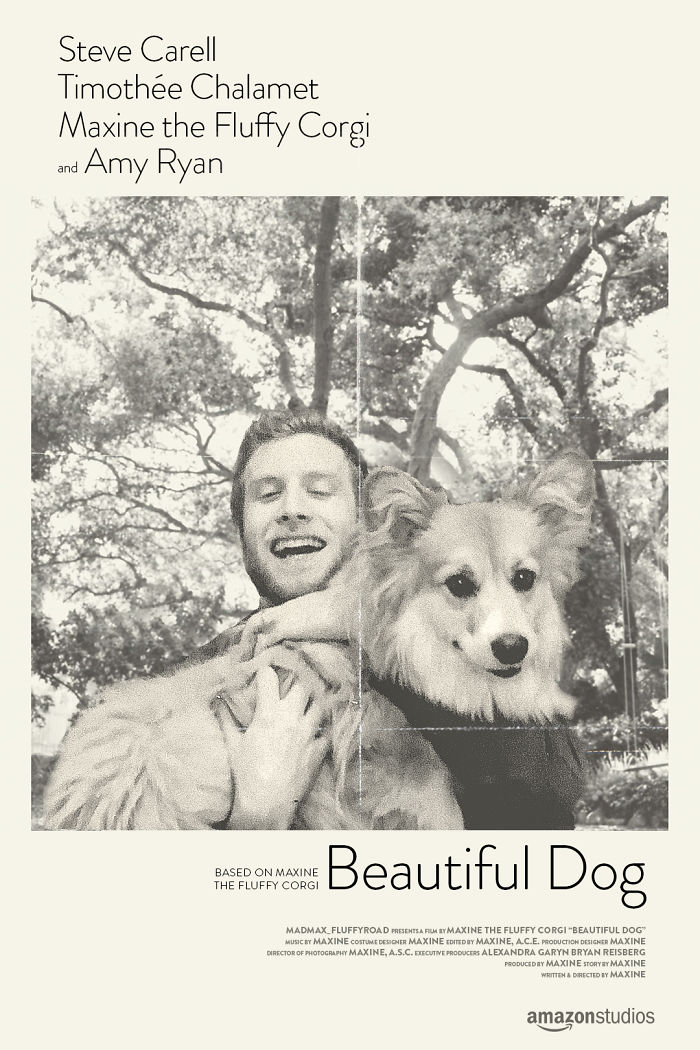 Corgi Gets Photoshopped Into Popular Movie Posters (13 Pics)