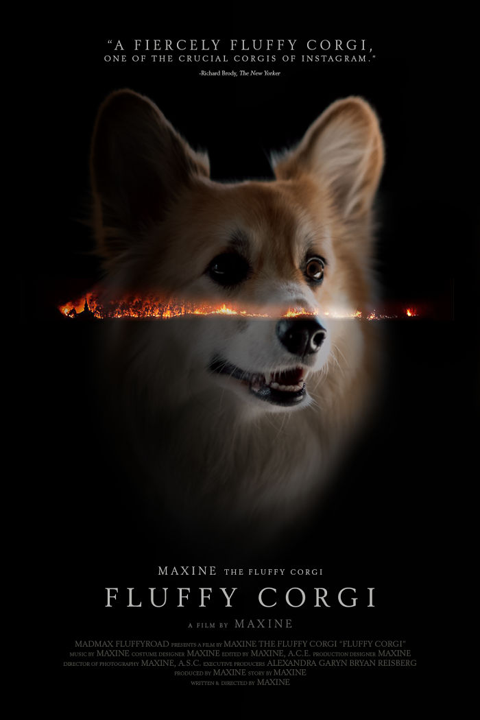 Corgi Gets Photoshopped Into Popular Movie Posters (13 Pics)
