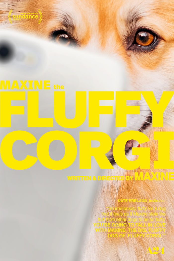 Corgi Gets Photoshopped Into Popular Movie Posters (13 Pics)