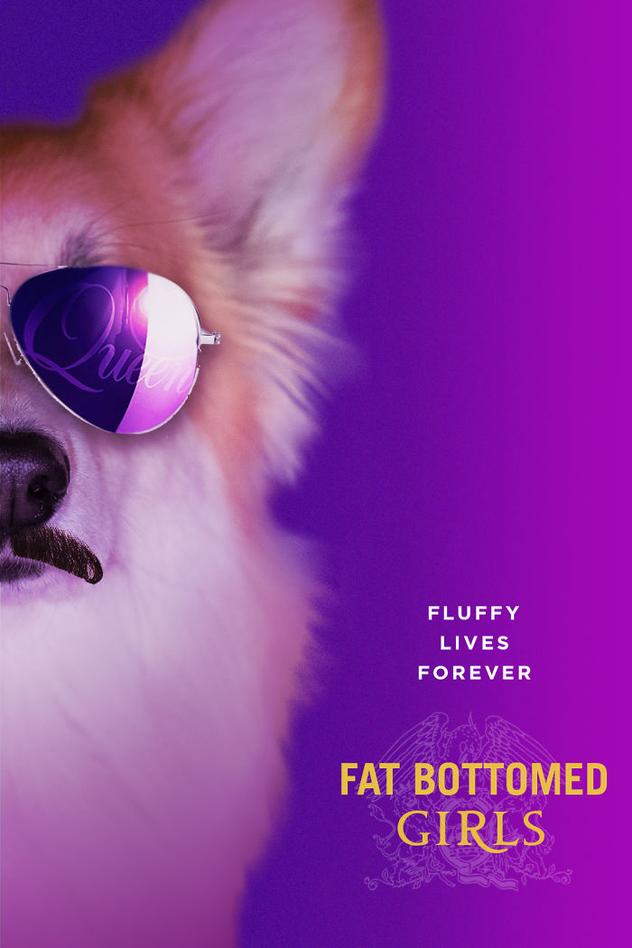 Corgi Gets Photoshopped Into Popular Movie Posters (13 Pics) Corgi Gets Photoshopped Into Popular Movie Posters (13 Pics)