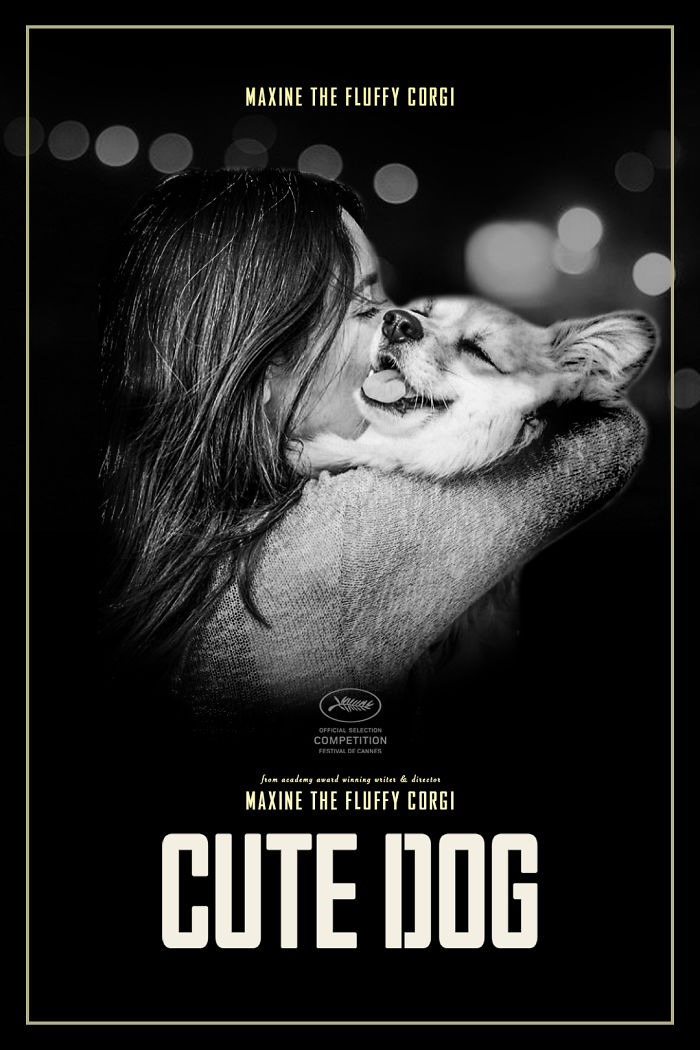 Corgi Gets Photoshopped Into Popular Movie Posters (13 Pics)