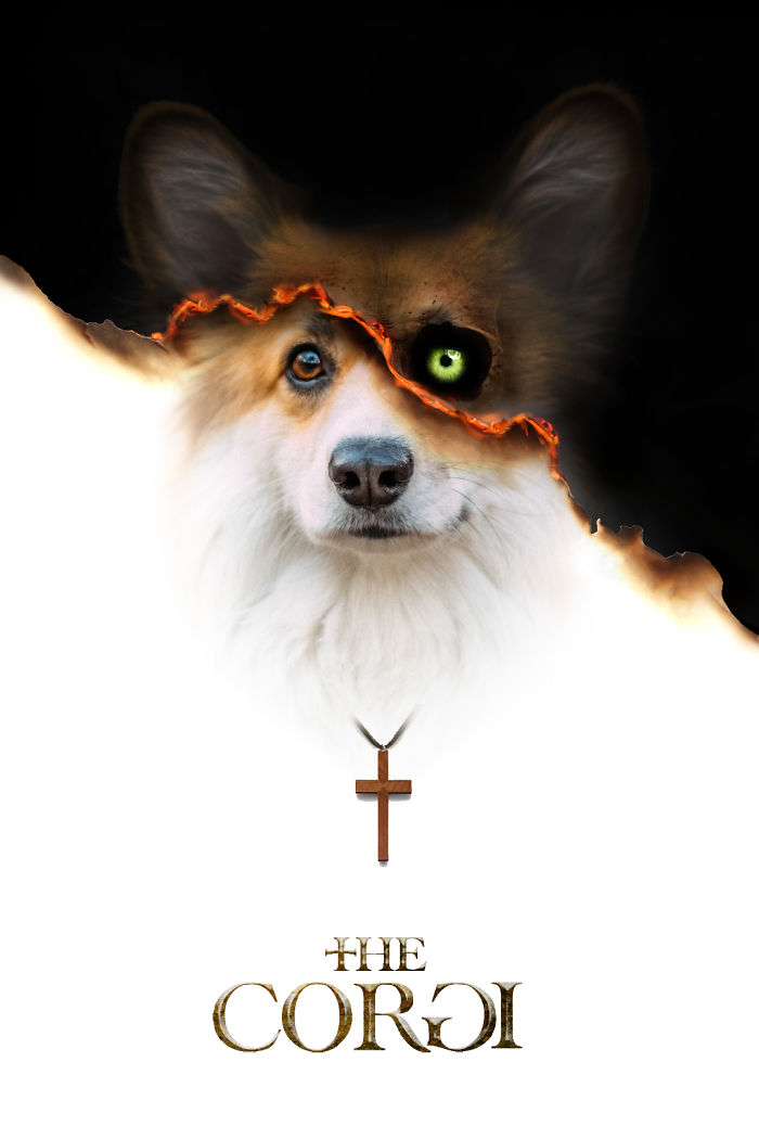 Corgi Gets Photoshopped Into Popular Movie Posters (13 Pics)