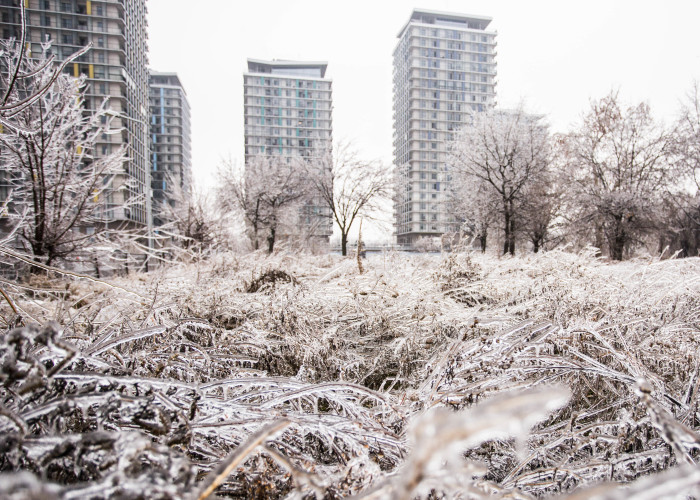 I Photographed Freezing Rain, Alternately Beautiful And Scary