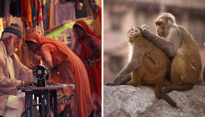 I Travel To Create Living Photos