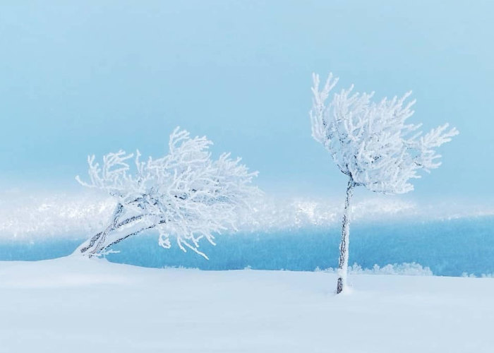 I Captured The Beautiful Winter In The Northern Part Of Sweden