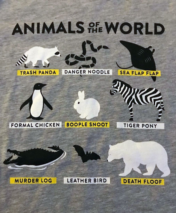 Hilarious Shirt My Son Received