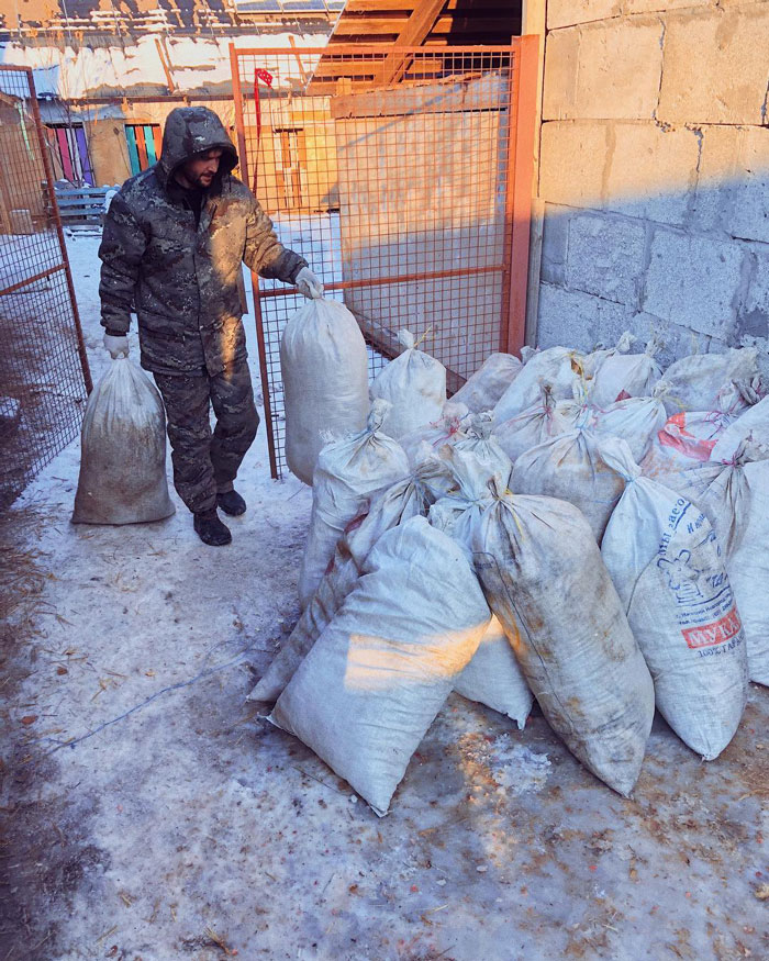 Famous Russian Photographer Ends Her Career To Live In A Forest With 100 Sick Dogs Famous Russian Photographer Ends Her Career To Live In A Forest With 100 Sick Dogs