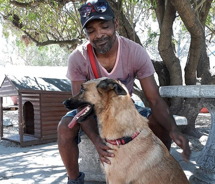 Dog Who Was Stabbed In The Head While Trying To Protect His Owner From An Armed Robber, Miraculously Survives