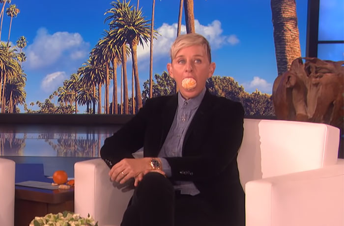Anne Hathaway Pulls A Hilarious Prank On Ellen's Audience And Teaches Them A Lesson Not To Do Everything Celebrities Say
