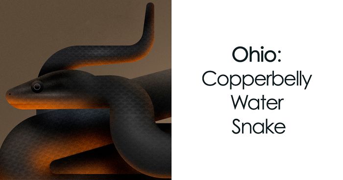 These Nature Posters Show The Most Endangered Species In Each US State