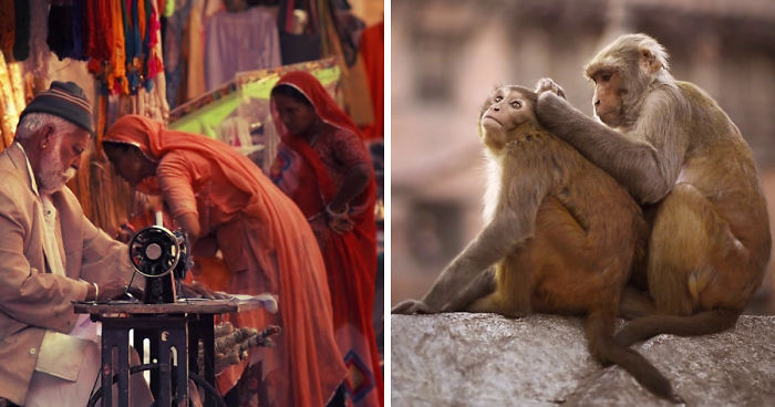 I Travel To Create Living Photos