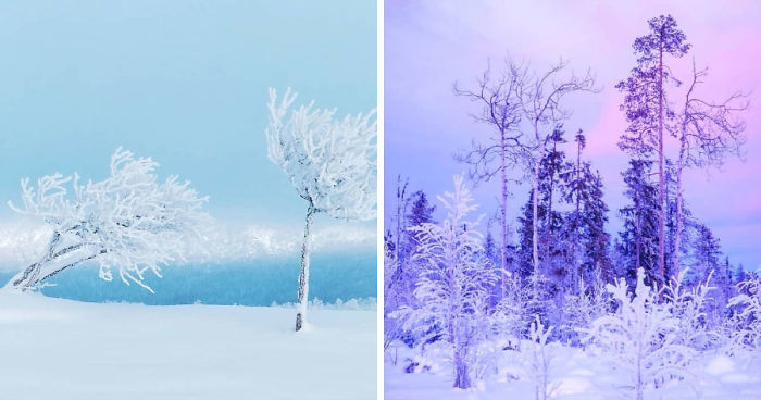 I Captured The Beautiful Winter In The Northern Part Of Sweden