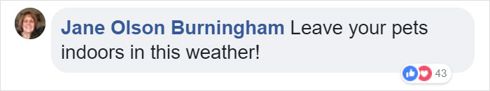 Cat Frozen In Snow Makes Miraculous Recovery After Veterinarians Spend Hours Fighting For Her Life