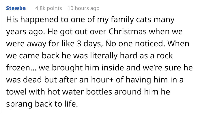 Cat Frozen In Snow Makes Miraculous Recovery After Veterinarians Spend Hours Fighting For Her Life Cat Frozen In Snow Makes Miraculous Recovery After Veterinarians Spend Hours Fighting For Her Life