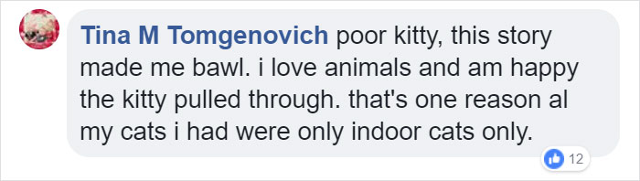 Cat Frozen In Snow Makes Miraculous Recovery After Veterinarians Spend Hours Fighting For Her Life Cat Frozen In Snow Makes Miraculous Recovery After Veterinarians Spend Hours Fighting For Her Life