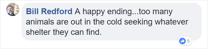 Cat Frozen In Snow Makes Miraculous Recovery After Veterinarians Spend Hours Fighting For Her Life Cat Frozen In Snow Makes Miraculous Recovery After Veterinarians Spend Hours Fighting For Her Life