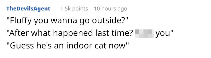 Cat Frozen In Snow Makes Miraculous Recovery After Veterinarians Spend Hours Fighting For Her Life Cat Frozen In Snow Makes Miraculous Recovery After Veterinarians Spend Hours Fighting For Her Life