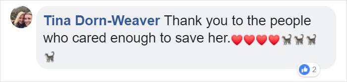 Cat Frozen In Snow Makes Miraculous Recovery After Veterinarians Spend Hours Fighting For Her Life Cat Frozen In Snow Makes Miraculous Recovery After Veterinarians Spend Hours Fighting For Her Life