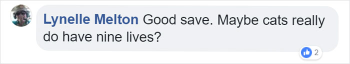 Cat Frozen In Snow Makes Miraculous Recovery After Veterinarians Spend Hours Fighting For Her Life Cat Frozen In Snow Makes Miraculous Recovery After Veterinarians Spend Hours Fighting For Her Life