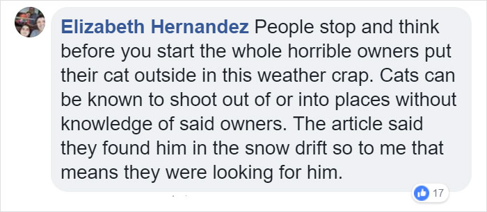 Cat Frozen In Snow Makes Miraculous Recovery After Veterinarians Spend Hours Fighting For Her Life Cat Frozen In Snow Makes Miraculous Recovery After Veterinarians Spend Hours Fighting For Her Life