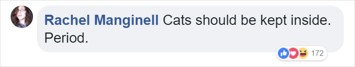 Cat Frozen In Snow Makes Miraculous Recovery After Veterinarians Spend Hours Fighting For Her Life Cat Frozen In Snow Makes Miraculous Recovery After Veterinarians Spend Hours Fighting For Her Life