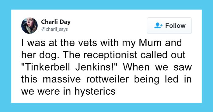 30 People Share The Funniest Pet Names And They’re Beyond Creative