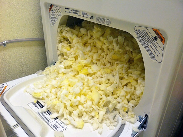 My Girlfriend Thought It Was A Good Idea To Put The Dog Bed In The Dryer