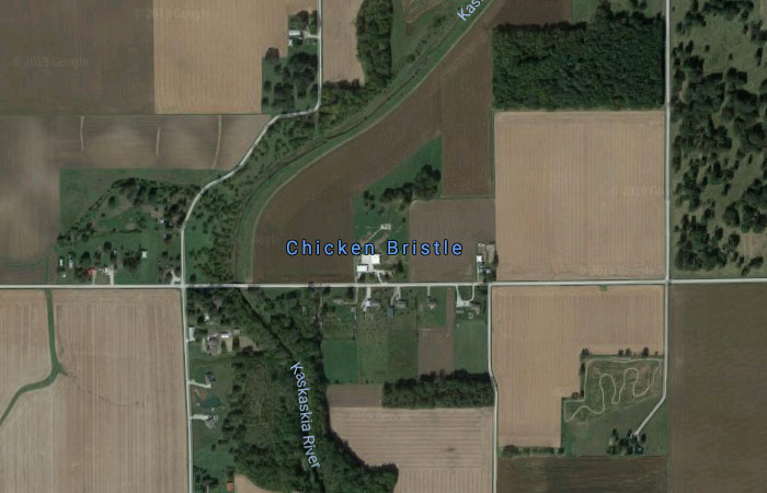 Chicken Bristle, Illinois