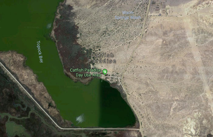 Catfish Paradise, Arizona