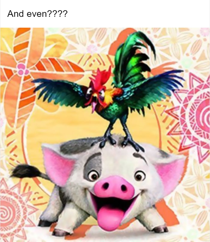 Someone Asked Why Disney Dumbed Down Moana's Rooster And One Tumblr User Gave The Perfect Answer Someone Asked Why Disney Dumbed Down Moana's Rooster And One Tumblr User Gave The Perfect Answer
