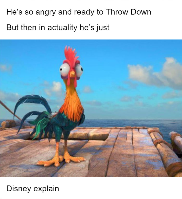 Someone Asked Why Disney Dumbed Down Moana's Rooster And One Tumblr User Gave The Perfect Answer Someone Asked Why Disney Dumbed Down Moana's Rooster And One Tumblr User Gave The Perfect Answer