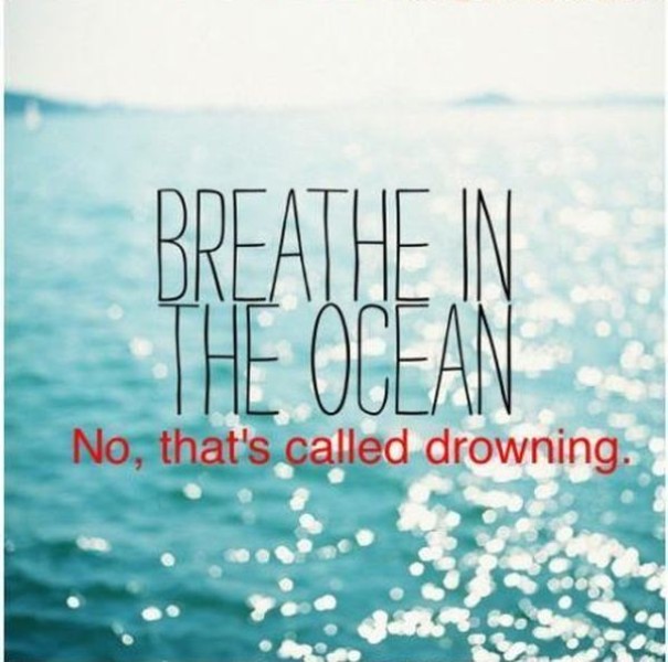 Trolling-Hipster-Captions