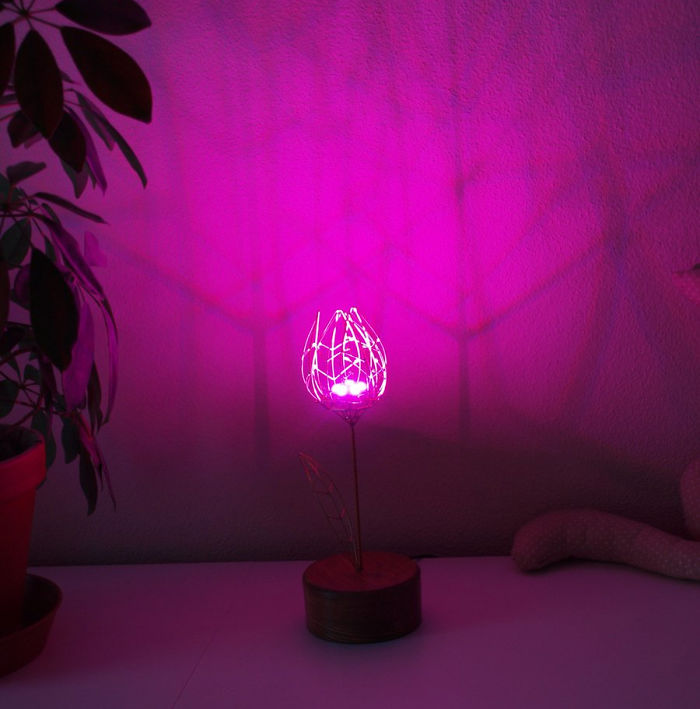 People Are Saying This Husband Just Won Valentine's Day By Gifting His Wife A Mechanical Flower That Blooms When Touched People Are Saying This Husband Just Won Valentine's Day By Gifting His Wife A Mechanical Flower That Blooms When Touched