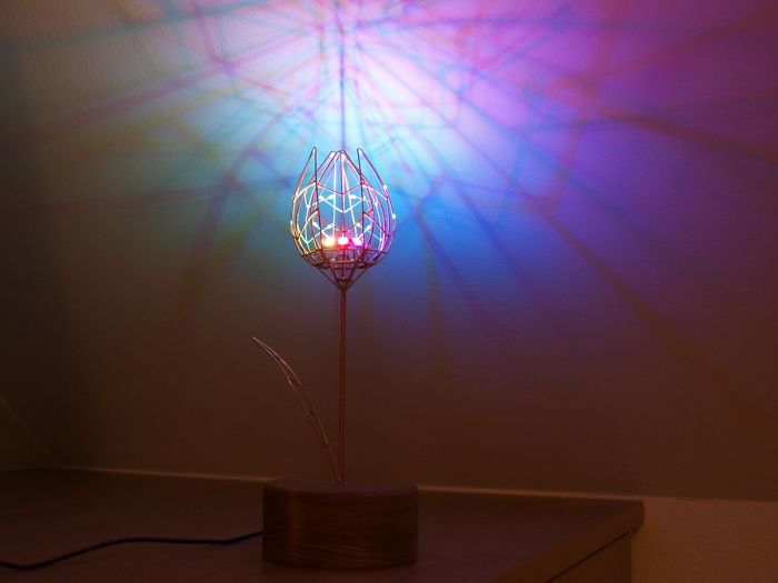 People Are Saying This Husband Just Won Valentine's Day By Gifting His Wife A Mechanical Flower That Blooms When Touched People Are Saying This Husband Just Won Valentine's Day By Gifting His Wife A Mechanical Flower That Blooms When Touched