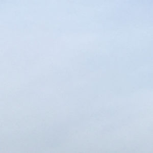 nojus_sungaila avatar