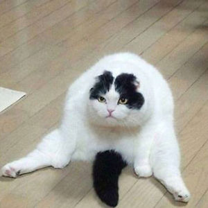 charlotteparis1982 avatar