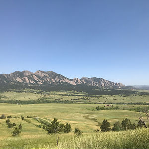 philipkaufmann avatar