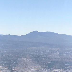 daisy_chain_hair avatar