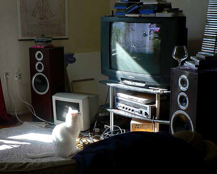 Interesting-Facts-About-Norway