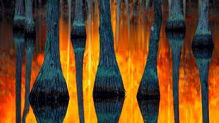 2018 International Landscape Photograph Of The Year Winner, South Eastern Usa, Paul Marcellini