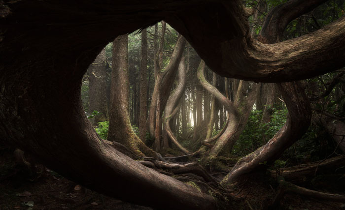 30 Of The Most Memorable Pics From The 2018 International Landscape Photographer Of The Year Contest