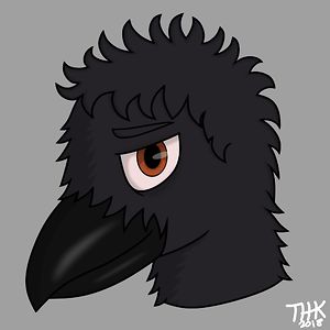 htffanofflaky avatar